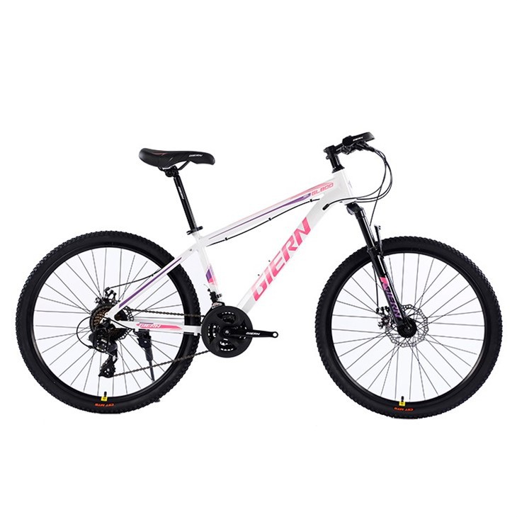 24 Speed Mountain Bike