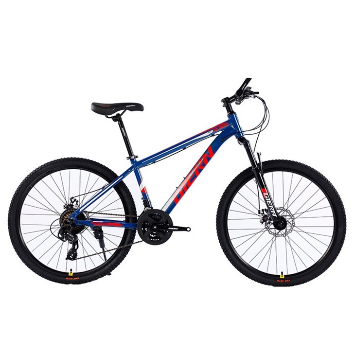 24 Speed Mountain Bike