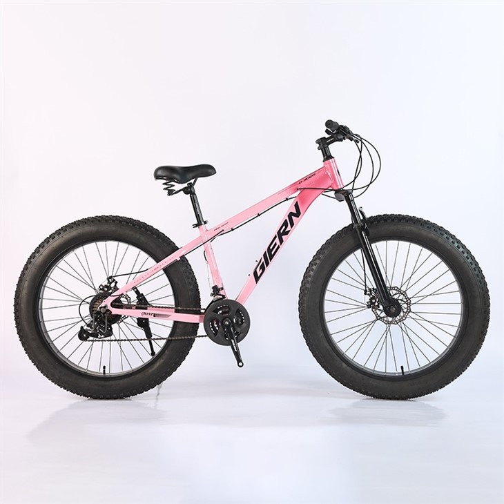 26 Inch Fat Tire Mountain Bike