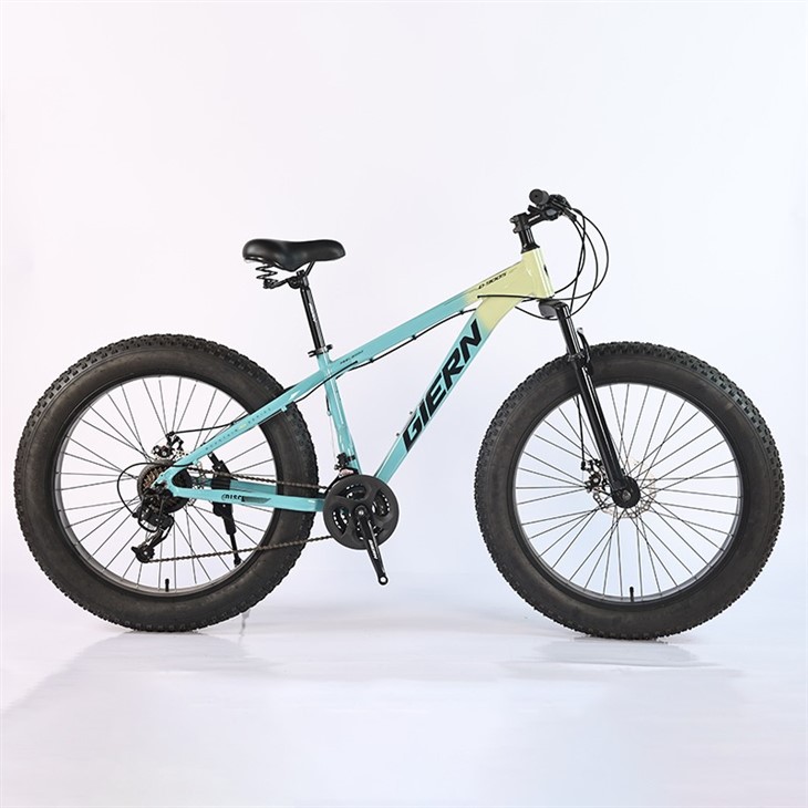 26 Inch Fat Tire Mountain Bike