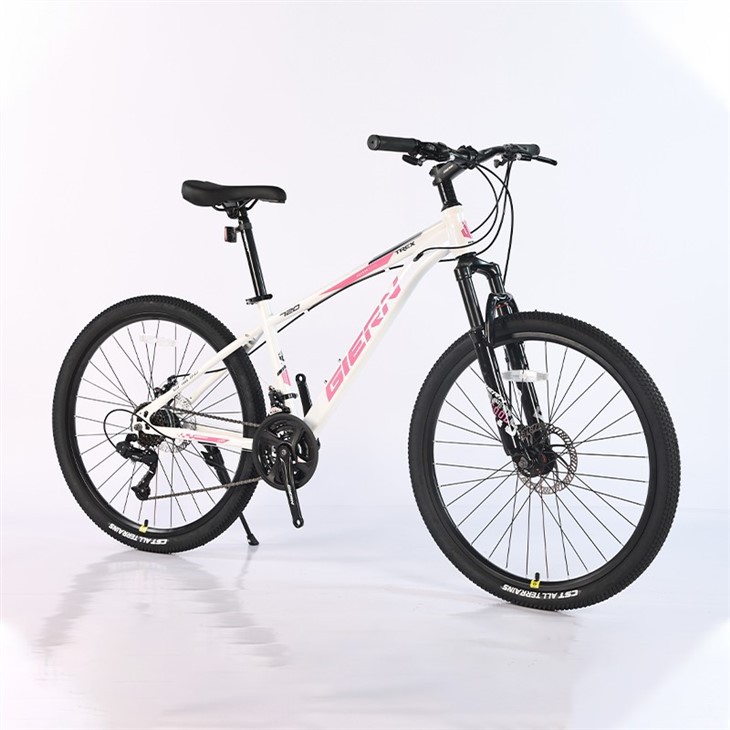 26 Mtb Hardtail Frame