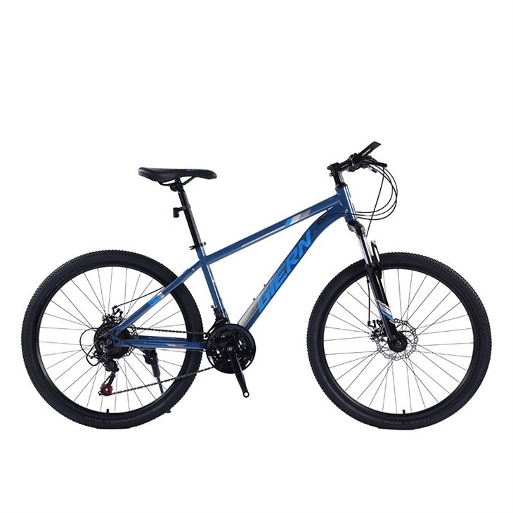 29 Inch Aluminum Mountain Bike