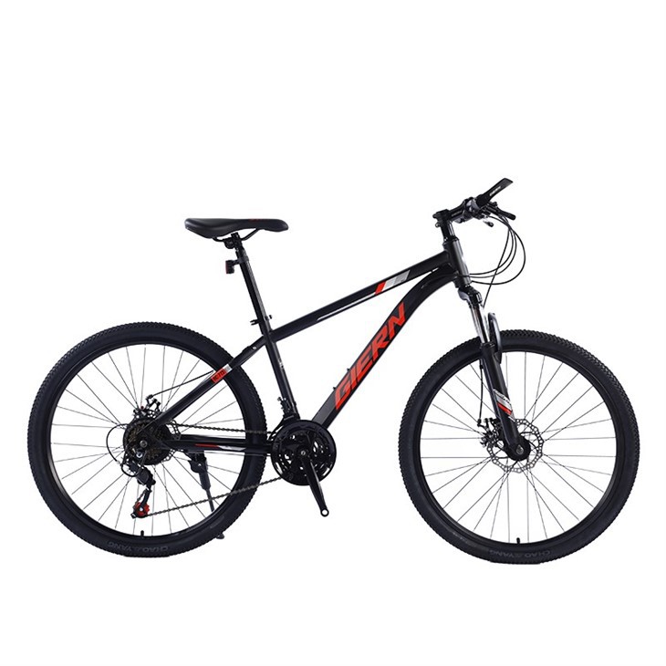 29 Inch Aluminum Mountain Bike