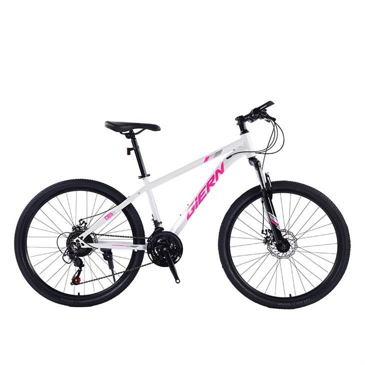 29 Inch Aluminum Mountain Bike