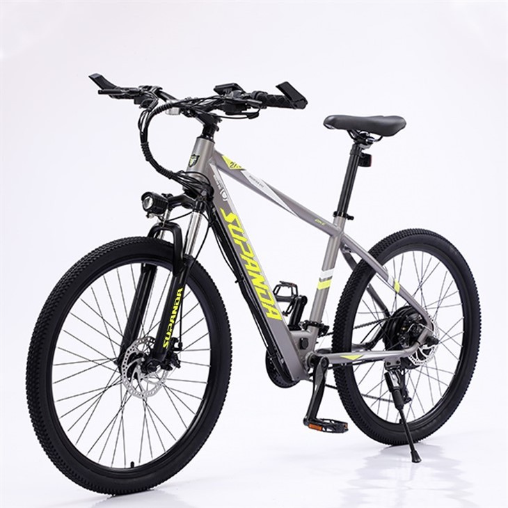 29 Inch E Mountain Bike