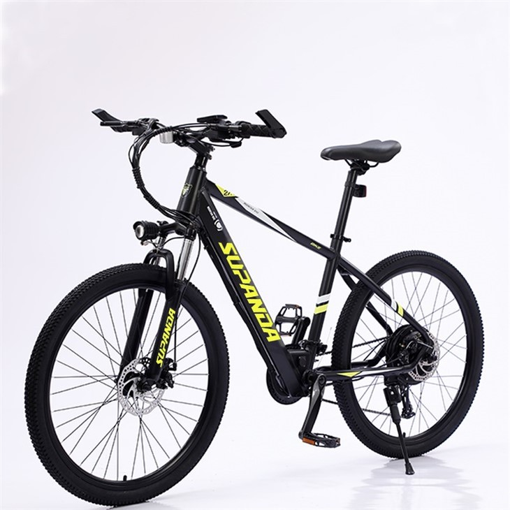 29 Inch E Mountain Bike