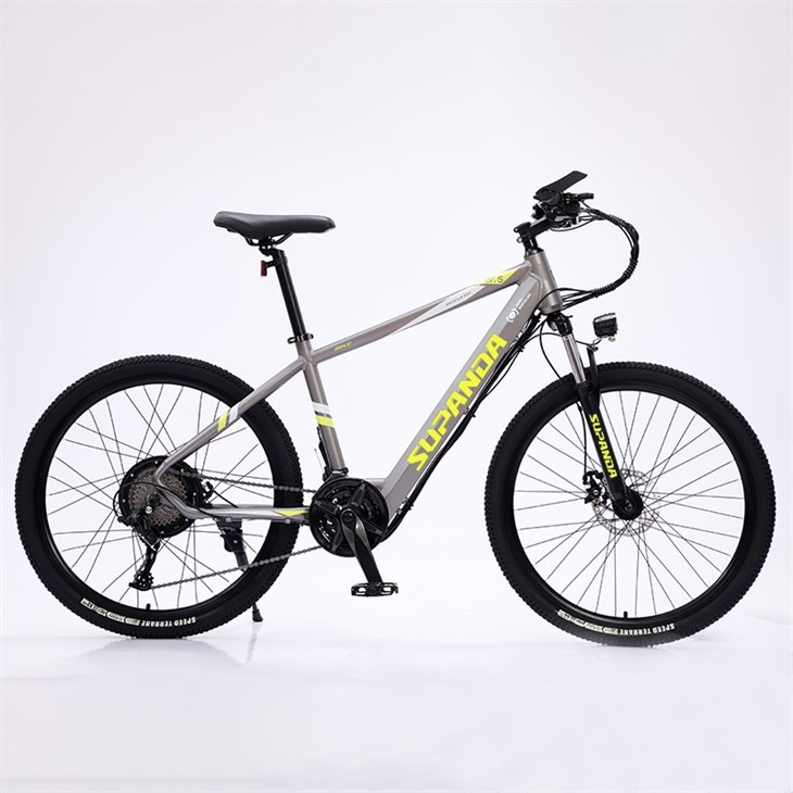 29 Inch E Mountain Bike