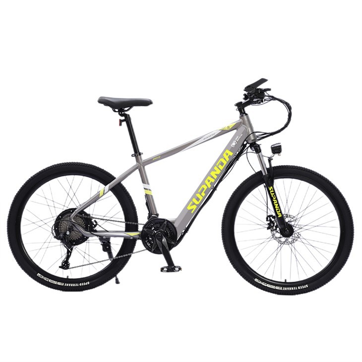 29 Inch E Mountain Bike
