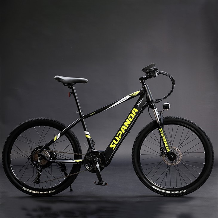 29 Inch E Mountain Bike