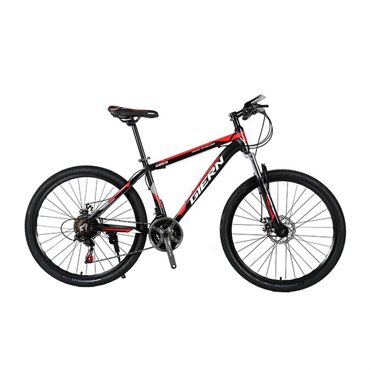 Enduro Aluminum Alloy Mountain Bike