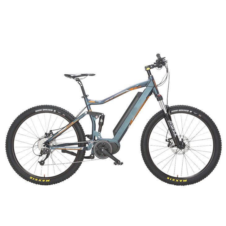 Adult Electric Mountain Bike