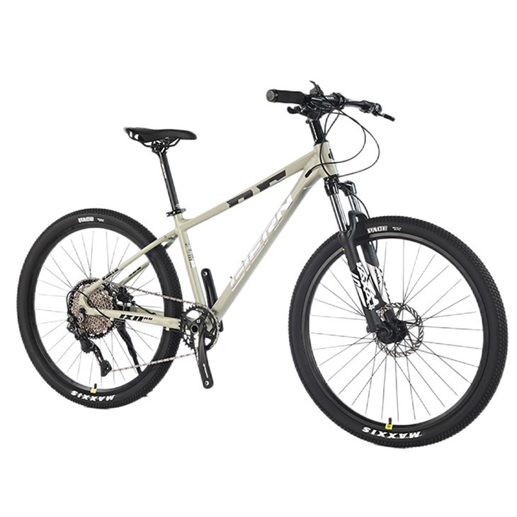 Affordable Hardtail Mountain Bike