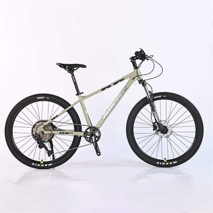 Affordable Hardtail Mountain Bike