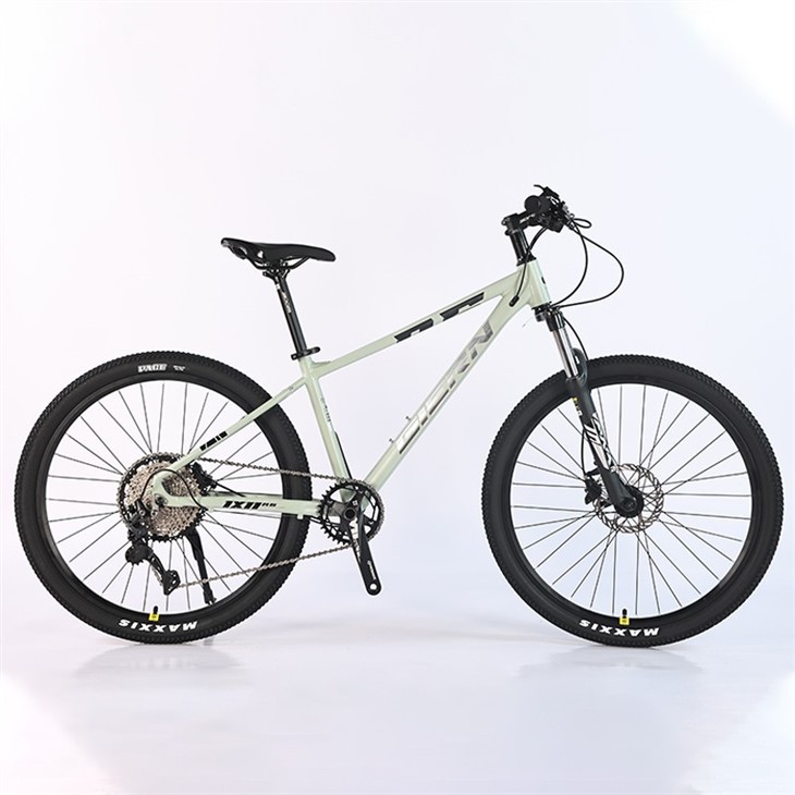 Affordable Hardtail Mountain Bike