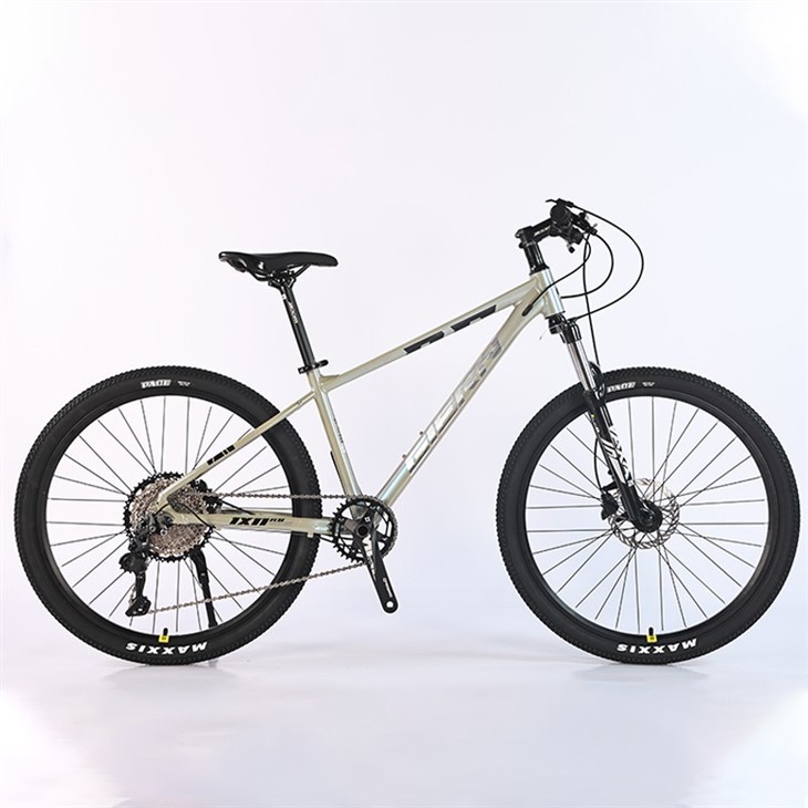 Affordable Hardtail Mountain Bike