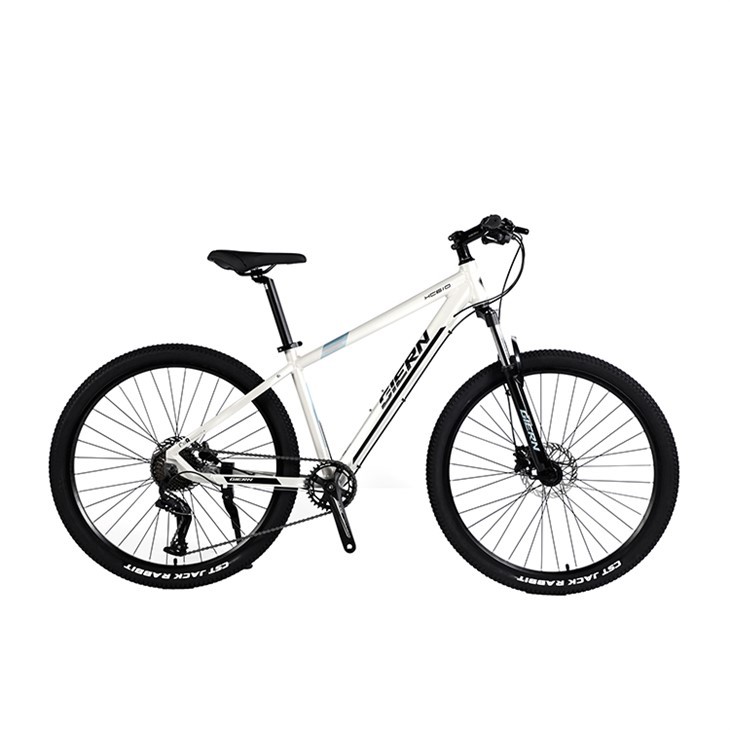Aluminum Alloy Hardtail Mountain Bike