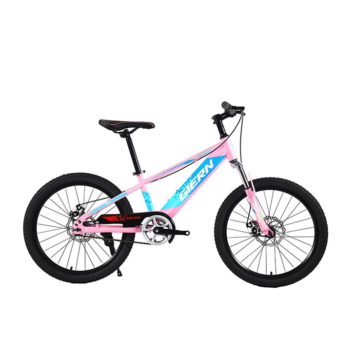 Aluminum Downhill Bike