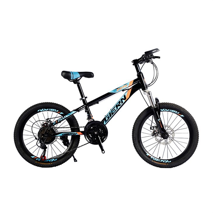 Beginner Hardtail Mountain Bike