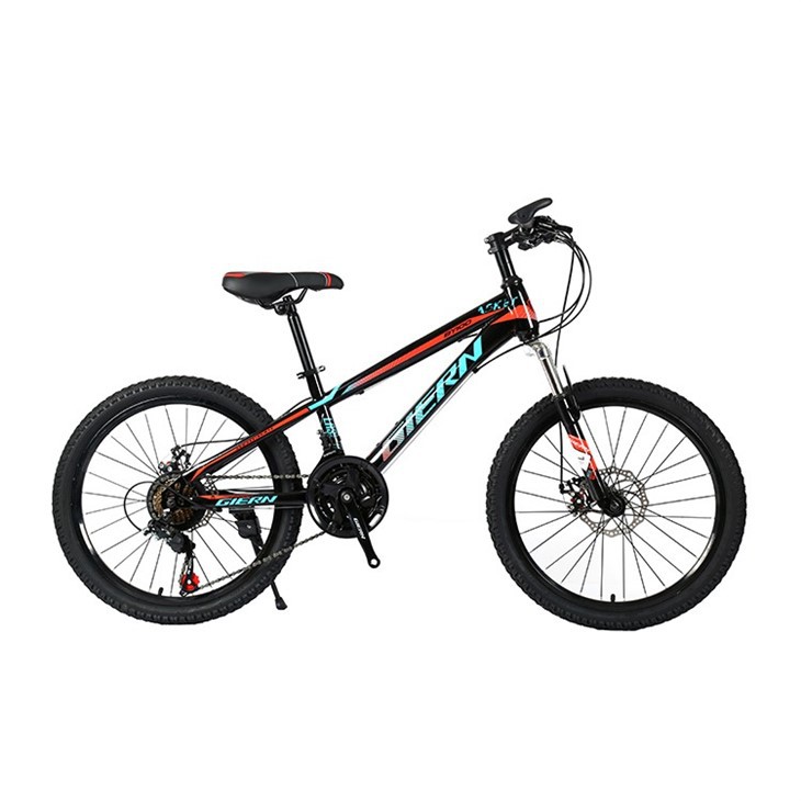 Beginner Hardtail Mountain Bike
