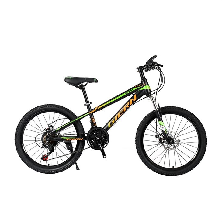 Beginner Hardtail Mountain Bike