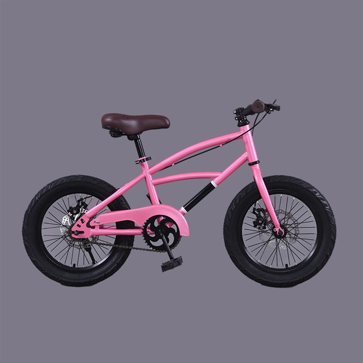 Bicycle For Age 10