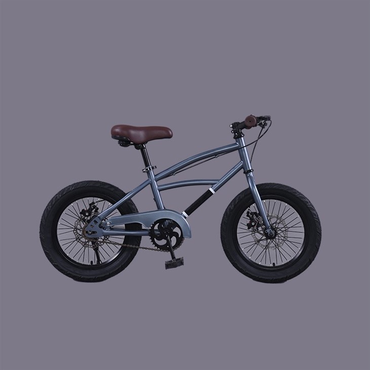 Bicycle For Age 10