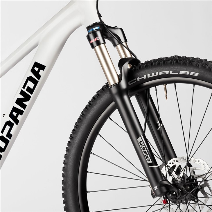 Carbon Cross Country Bike