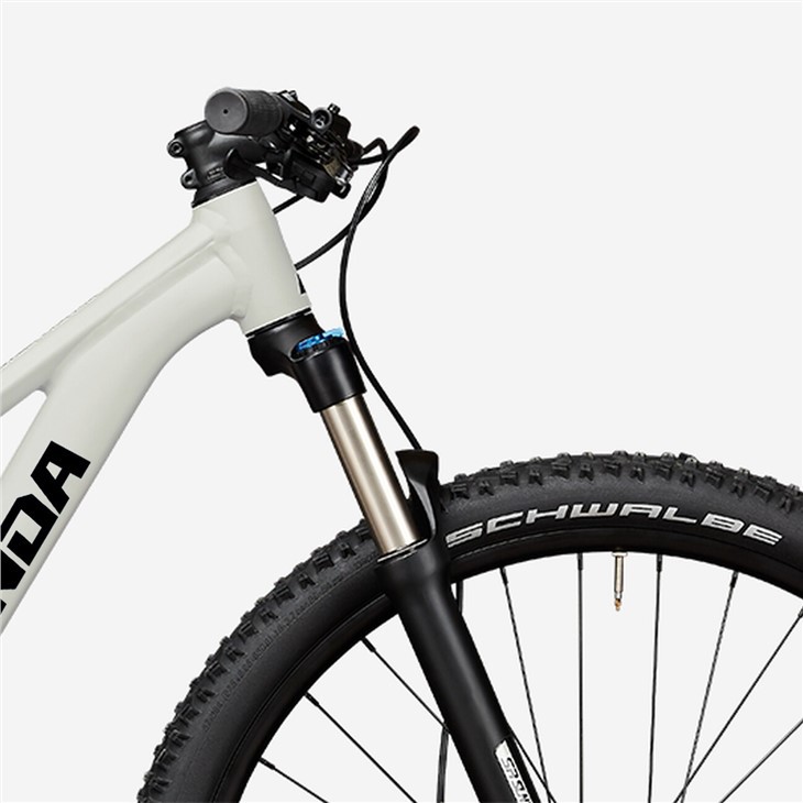 Carbon Cross Country Bike