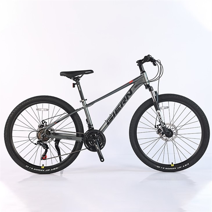 Downcountry Hardtail Mtb