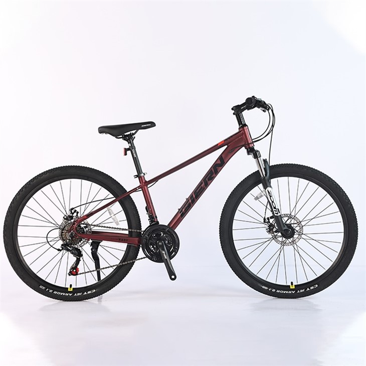 Downcountry Hardtail Mtb