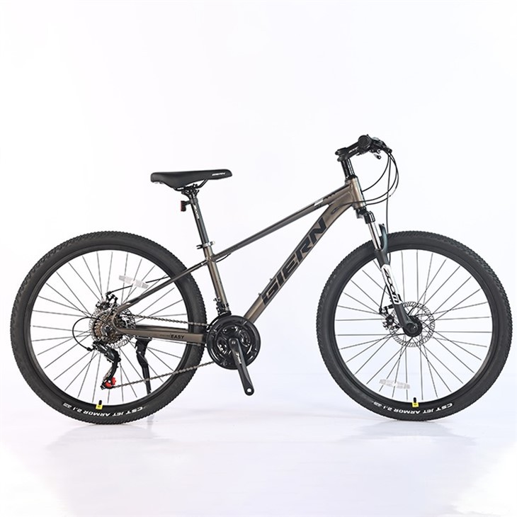 Downcountry Hardtail Mtb