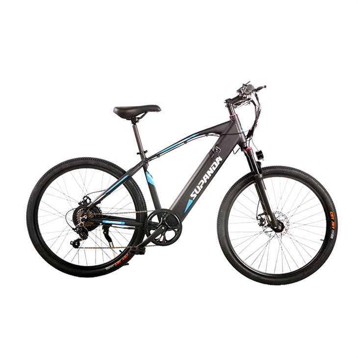 Ebike Mountainbike