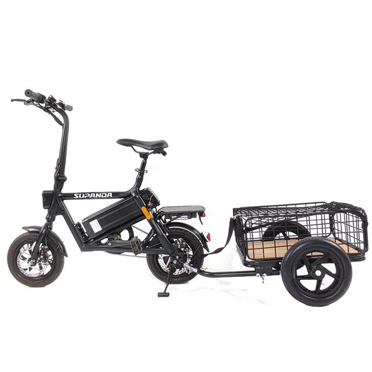 Electric Fat Tyre Mountain Bike