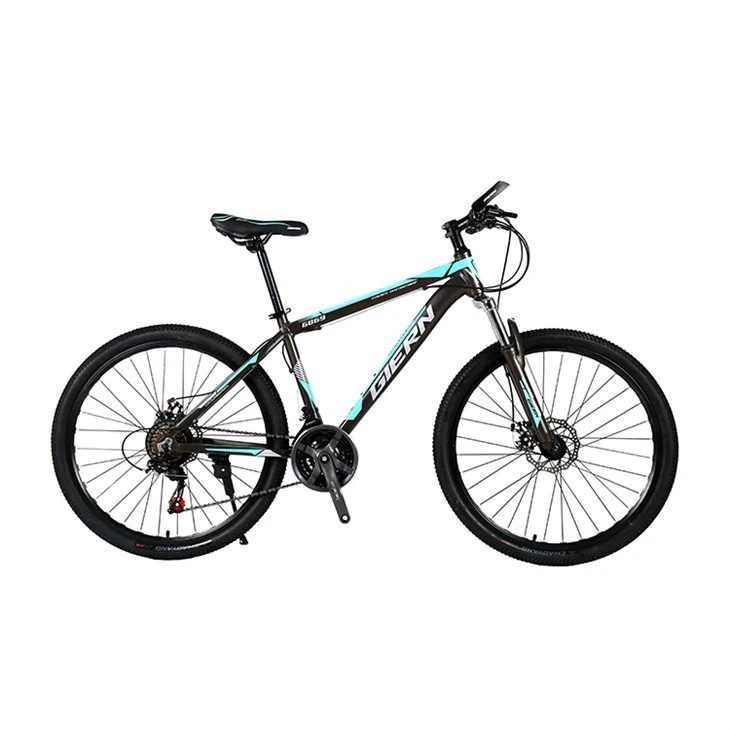 Enduro Aluminum Alloy Mountain Bike
