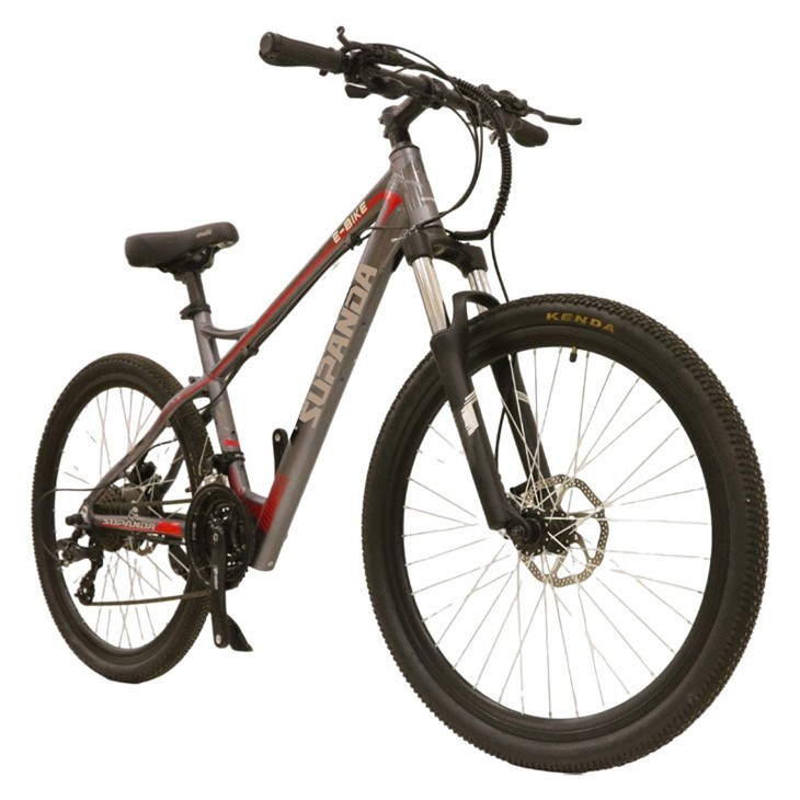 Enduro Electric Mountain Bike