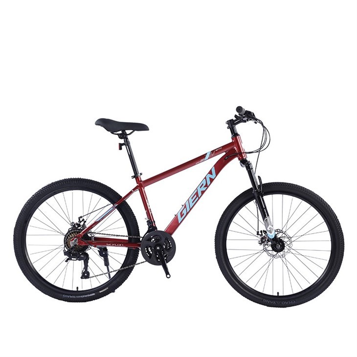 Entry Level Hardtail Mountain Bike