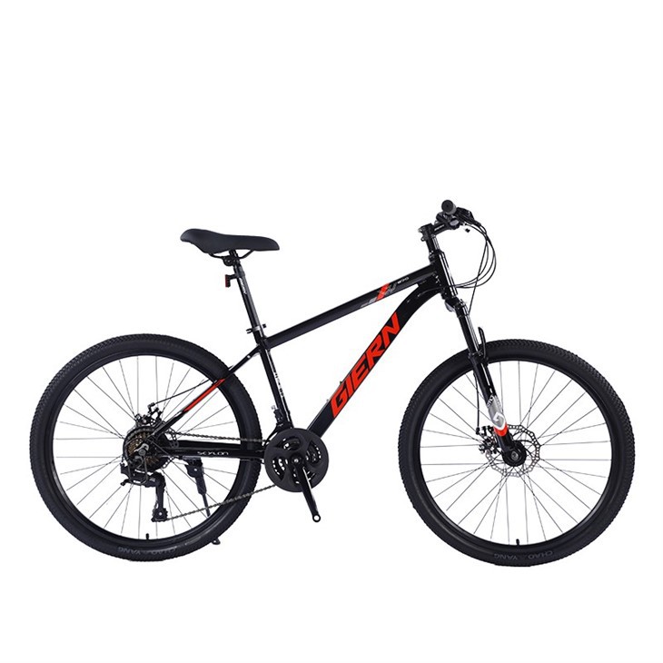 Entry Level Hardtail Mountain Bike