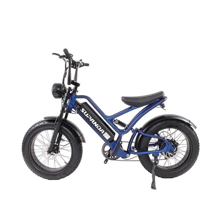 Fat Tire Mountain Ebike