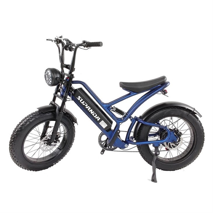 Fat Tire Mountain Ebike