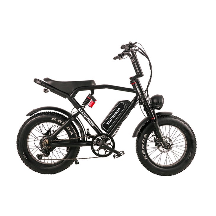Fat Tyre Electric Bike