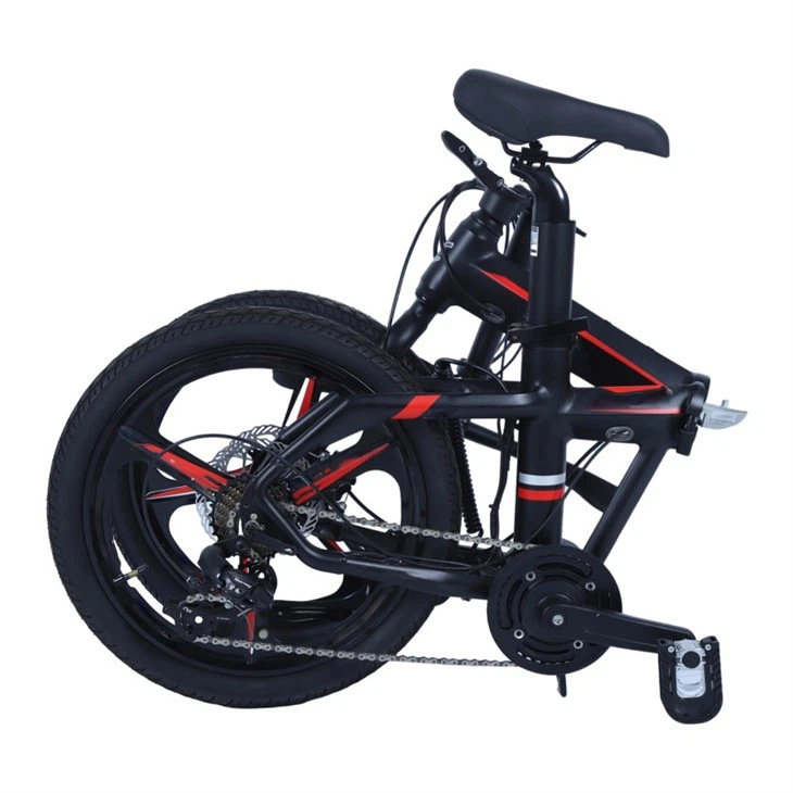 Folding 20 Inch Electric Bike
