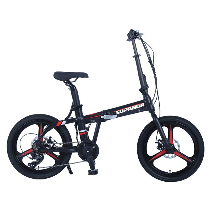 Folding 20 Inch Electric Bike
