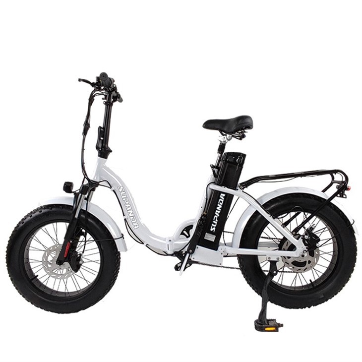 Folding Mountain Bike Electric