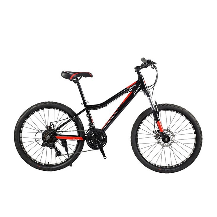 Hardtail All Mountain Bike