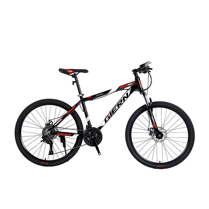 Hardtail Commuter Bike