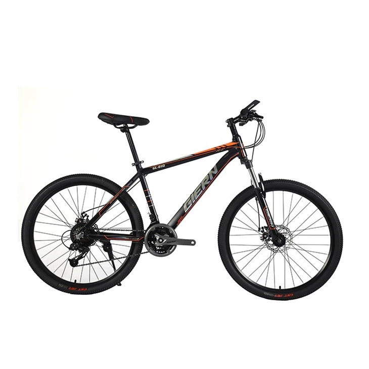 Hardtail Enduro Mountain Bike