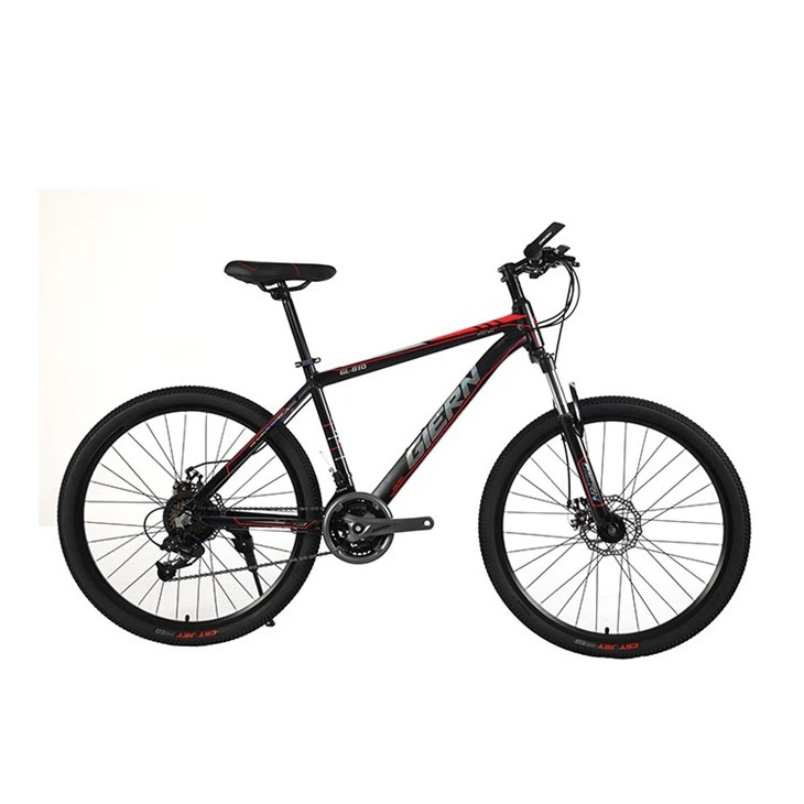 Hardtail Enduro Mountain Bike