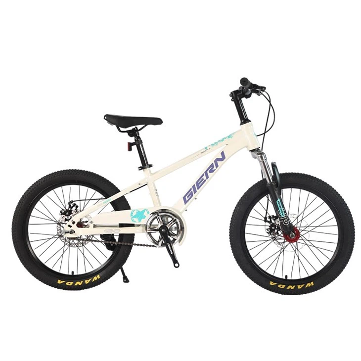 Hardtail Single Speed Mountain Bike