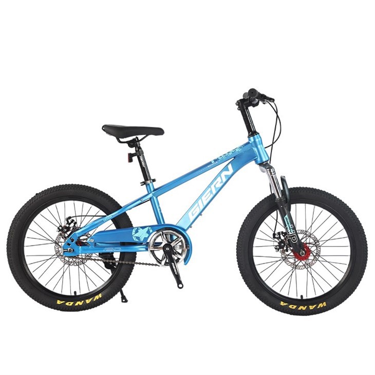 Hardtail Single Speed Mountain Bike