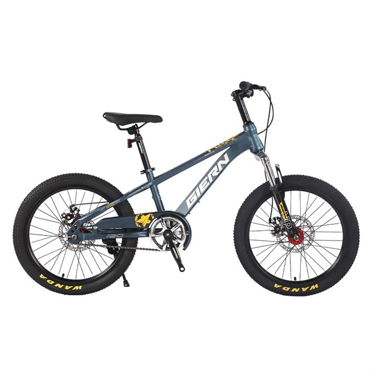 Hardtail Single Speed Mountain Bike